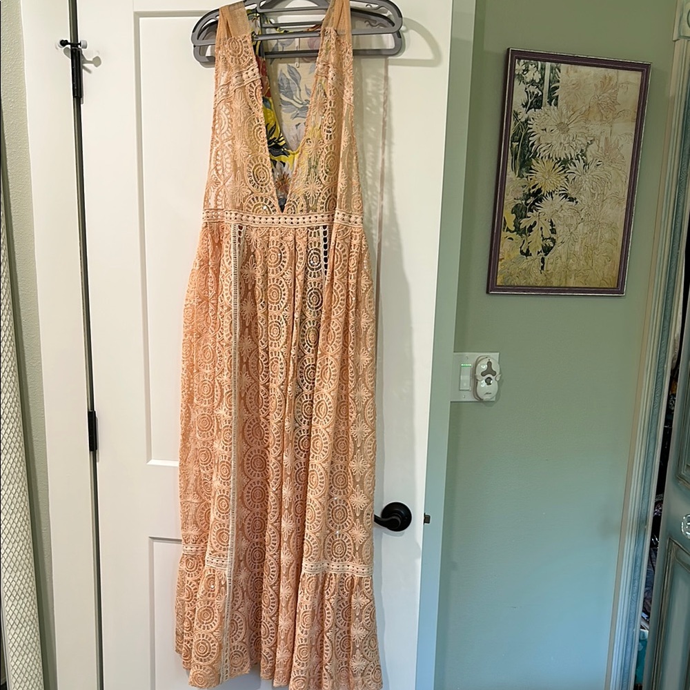Elegant Lace Peach Dress